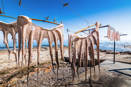 Captura de pantalla 2025-12-10 a las 21.45.31