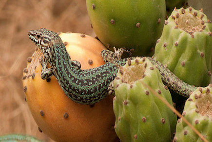 Captura de pantalla 2026-01-11 a las 22.36.03