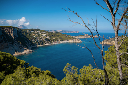 Captura de pantalla 2026-01-13 a las 21.24.27