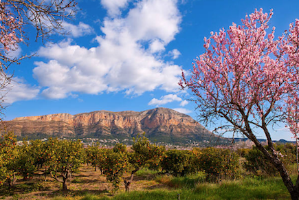 Captura de pantalla 2026-01-13 a las 21.35.12