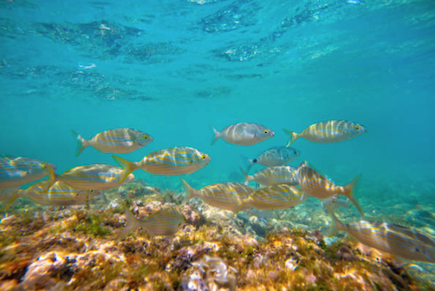 Captura de pantalla 2026-01-13 a las 21.36.37